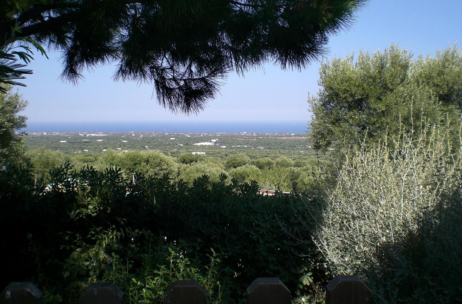 Bed And Breakfast La Casetta Macchia di Monte Buitenkant foto